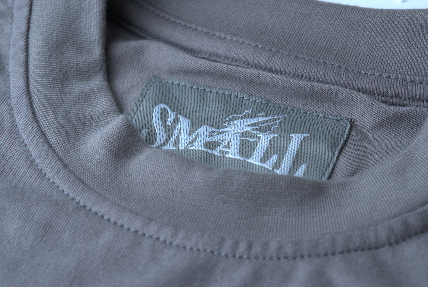 STATEMENT T-SHIRT - GRÅ